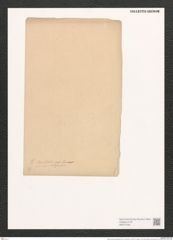 Gomphonema kamtschaticum Grun. (de-Toni-Nr.: Genus 37, Species 1753) Zeichnungen Sammlung Grunow (NHMW-BOT-W0371046)